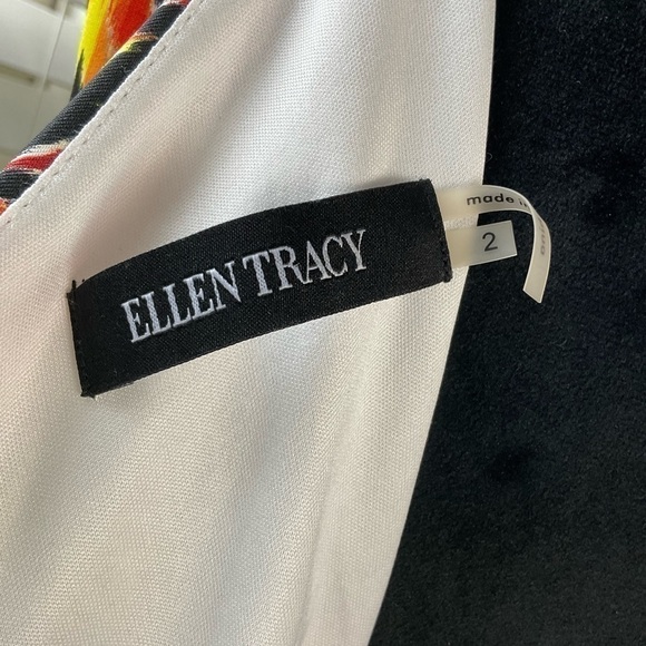 ELLEN Tracy Sleeveless Multi Colored Fit and Flare Dress - Picture 7 of 8